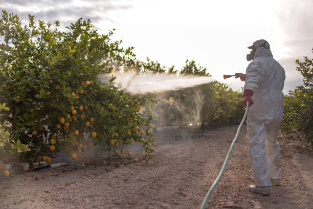 Best Mosquito Control Services  in Lexington, KY