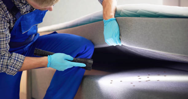 Best Termite Control Services  in Lexington, KY