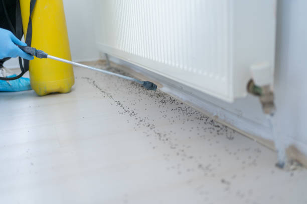 Best Emergency Pest Control  in Lexington, KY